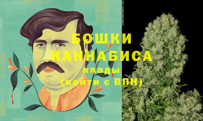 Конопля White Widow  Белокуриха 